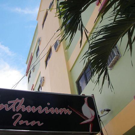 Anthurium Inn Lapu-Lapu City Eksteriør bilde